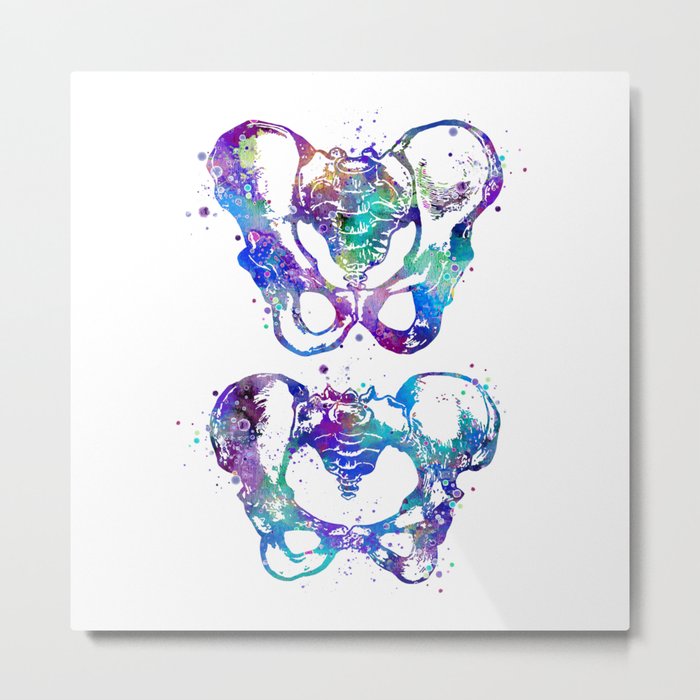 Pelvis Art Gift Bones Art Colorful Watercolor Gift Anatomy Art Medical Office Gift Chiropractor Art Metal Print