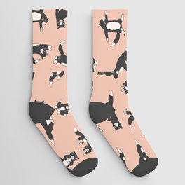 funny yoga cats pattern Socks