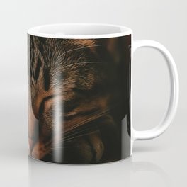 Cat Nap Mug