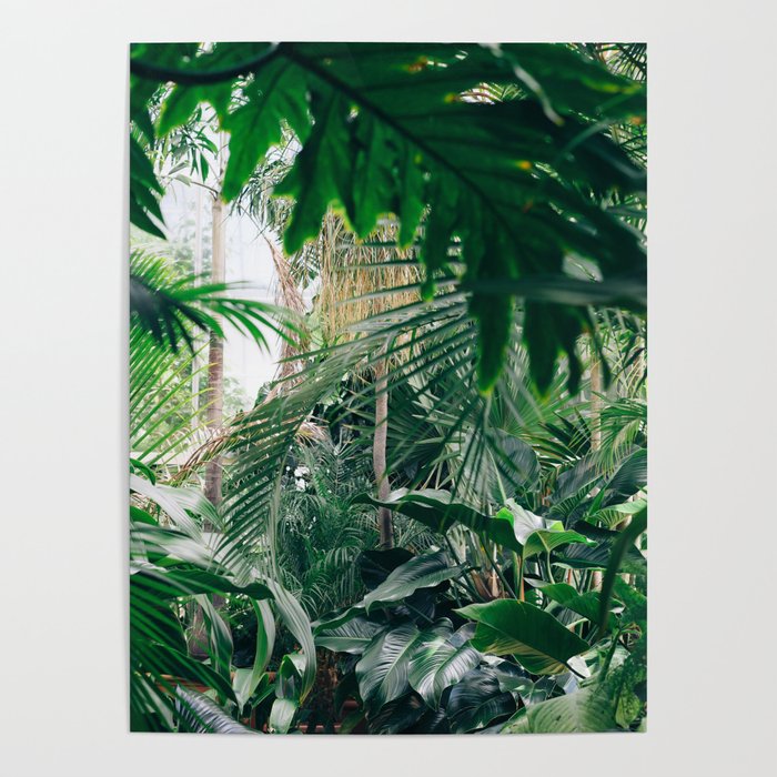 Tropical Greenery Jungle Poster