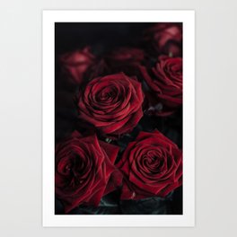 Roses Art Print