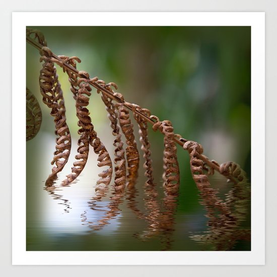 Dry fern and ripples Art Print