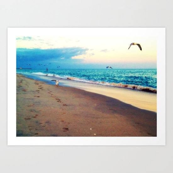 Lotsa More Gulls Art Print