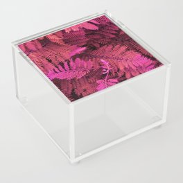 Crazy colored nature serie: pink fern leaves Acrylic Box