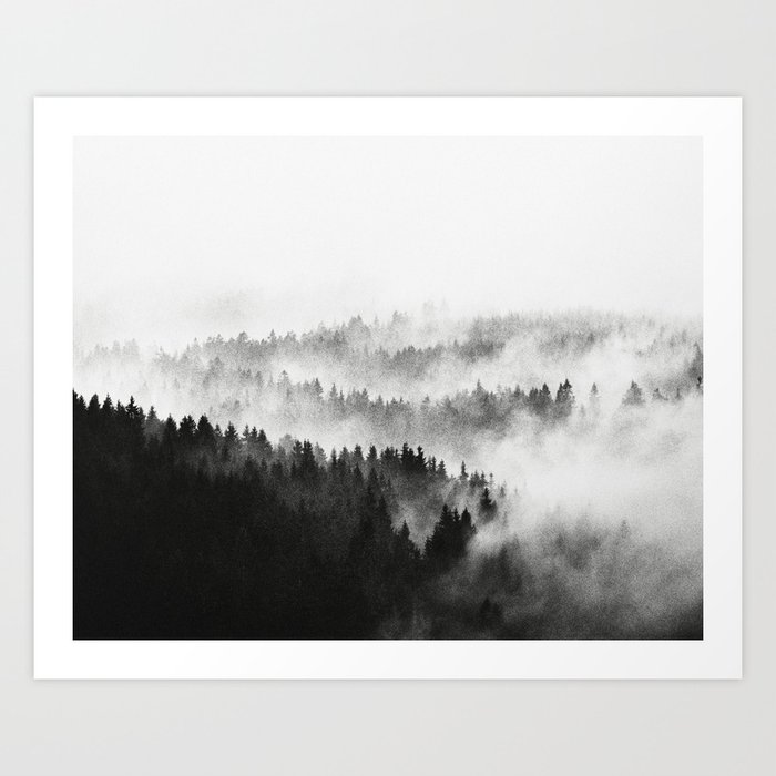 The Waves // Silent Hedges In A Misty Wilderness Dark Mood Forest With Cascadia Trees Covered In Fog Art Print