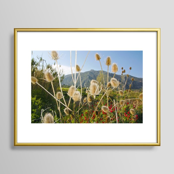 Meadow of Sicilian Spring Framed Art Print