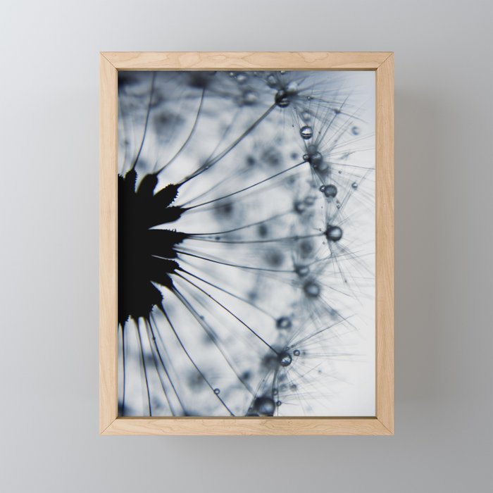 Dandelion Dark Blue Flower - Elegant Floral Framed Mini Art Print