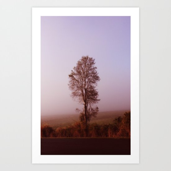 Standing alone in the fog Art Print
