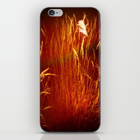 sunset colors iPhone & iPod Skin
