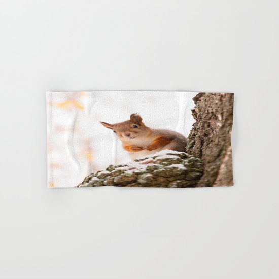 Squirrel in first snow Hand & Bath Towel