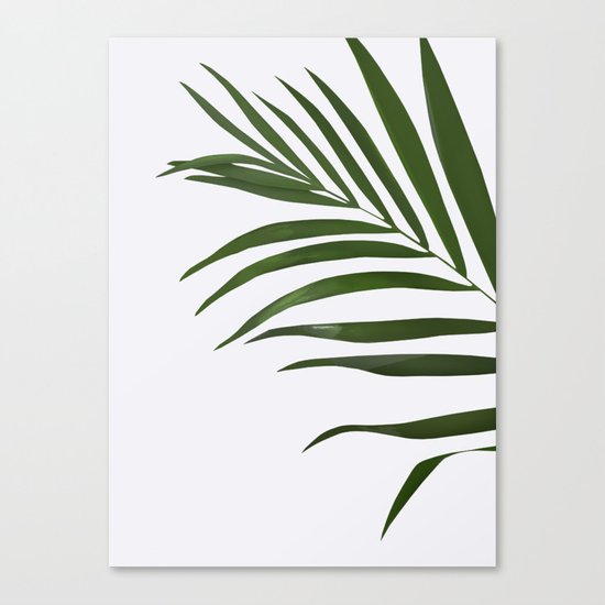 Fern Canvas Print