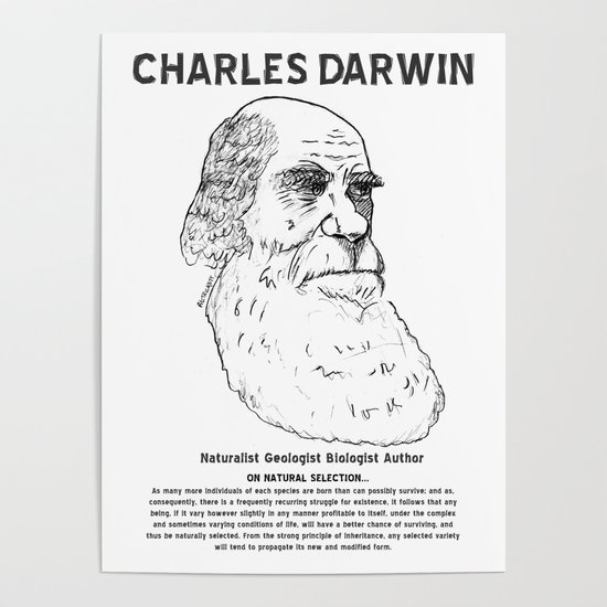 Charles Darwin Poster 24inx36in 