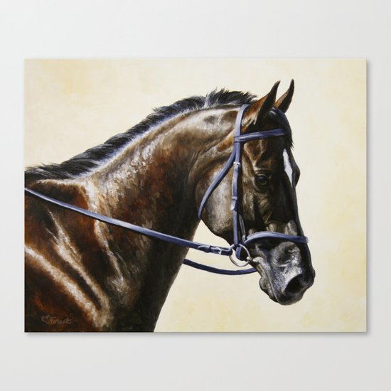 Dark Bay Dressage Horse Portrait Canvas Print