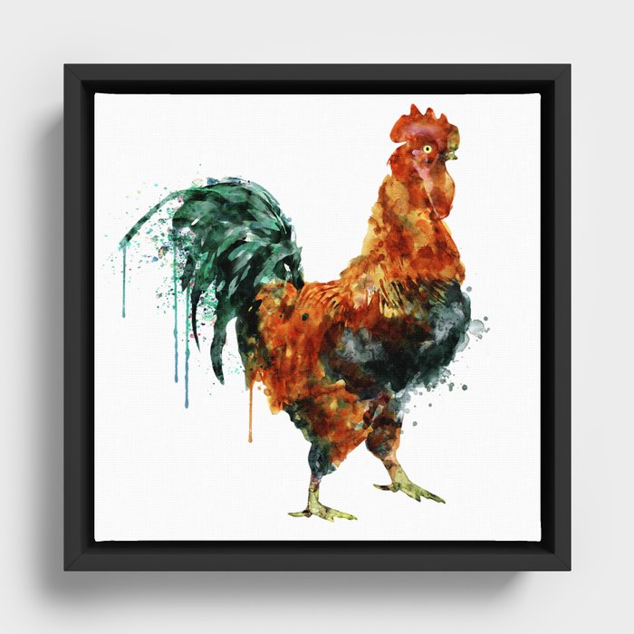 Rooster watercolor painting Framed Canvas