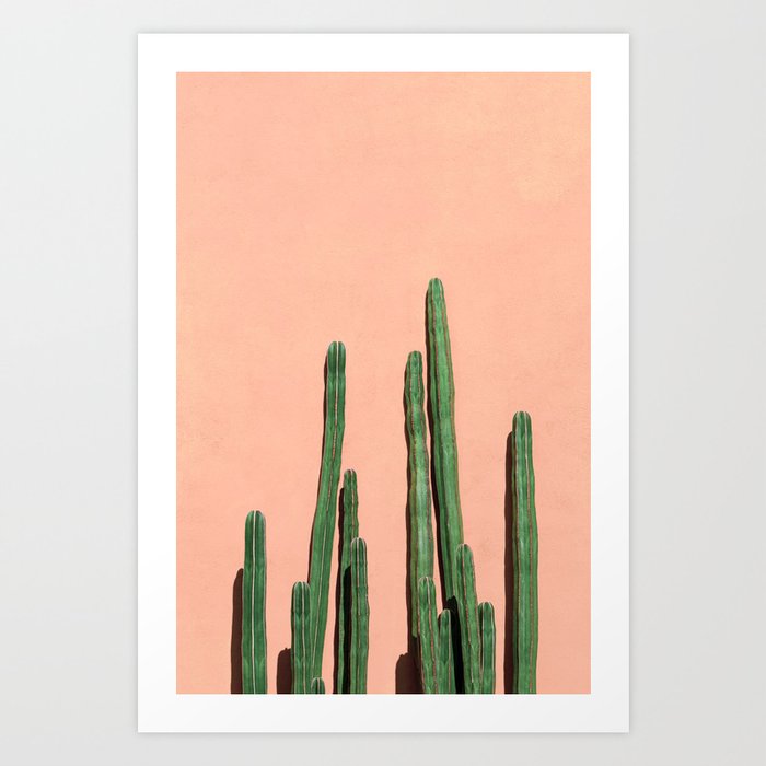 Desert Cactus Vintage Southwest Saguaro Joshua Tree Succulents X cannonball Art Print