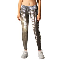 Scottish Pine Trees Sunray View in Afterglow  Leggings