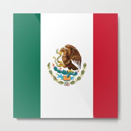 mexican sports fan mexico flag Metal Print | Mexican, National, Sporty, Northamerica, Ilovemexico, Sportsfan, Mexicoflag, Country, Graphicdesign, Travel 