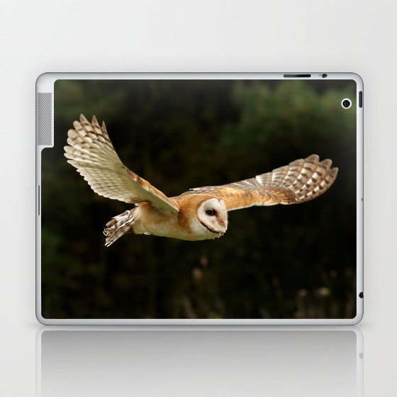 Beautiful barn owl Laptop & iPad Skin