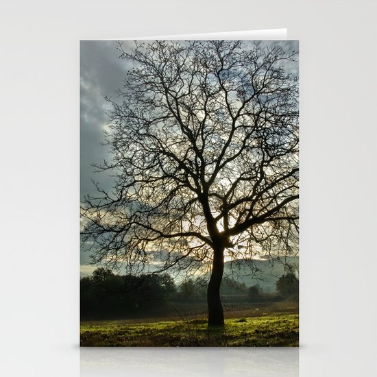Tree Stationery Cards