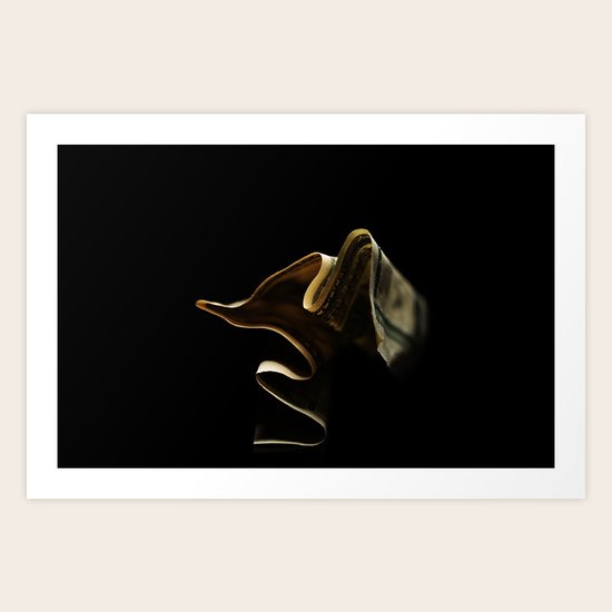 folding Art Print