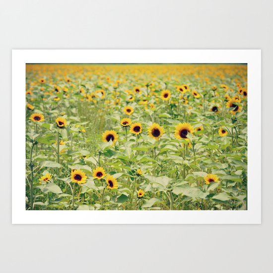 Sunflowers Art Print
