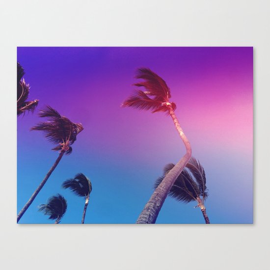 Palms on palms Canvas Print