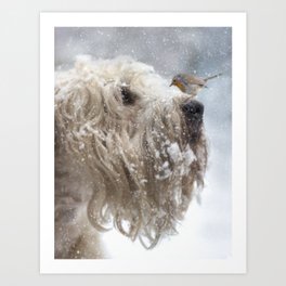 Wheaten Terrier with Robin Art Print | Nature, Animal, Photo 