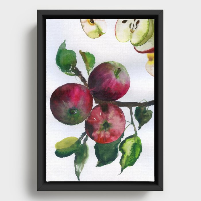 apples N.o 2 Framed Canvas