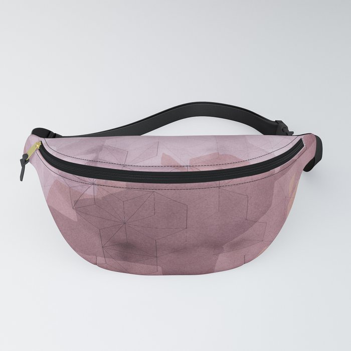 ABS 24 Fanny Pack