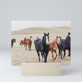 Wild Horses In the Field Mini Art Print