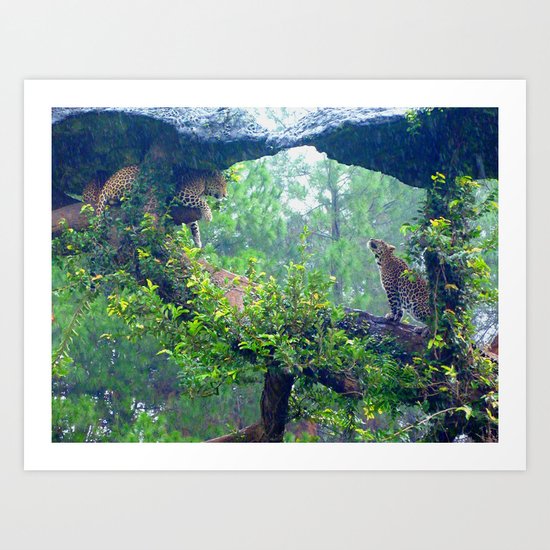 The Morning Light Art Print