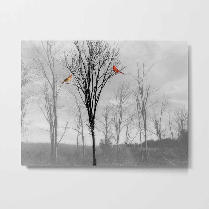 Red birds Cardinals Tree Fog A112 Metal Print
