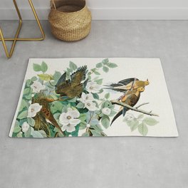 Carolina Turtle Dove, Birds of America by John James Audubon Area & Throw Rug