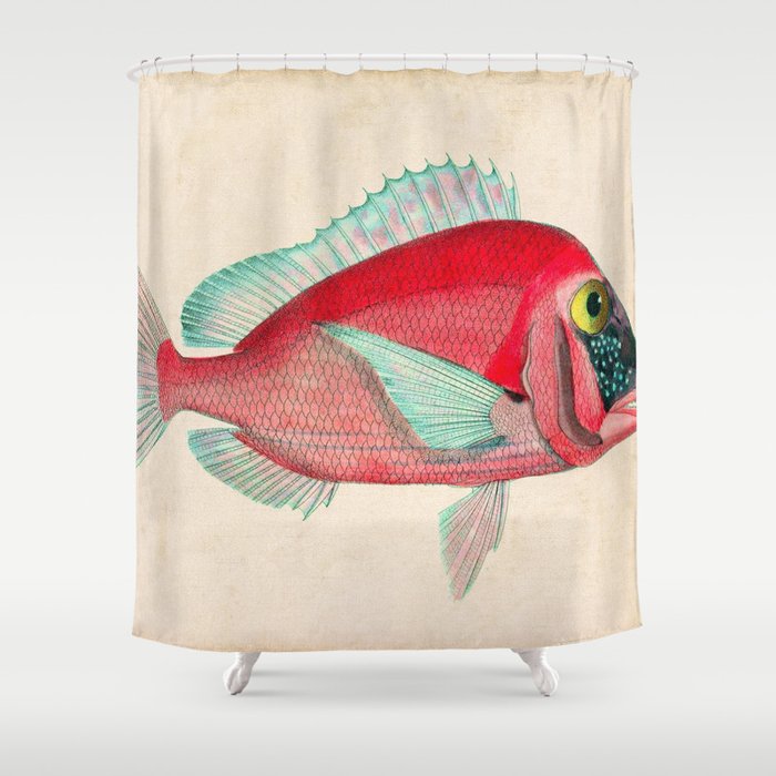 Red Fish Shower Curtain by serigraphonart Society6