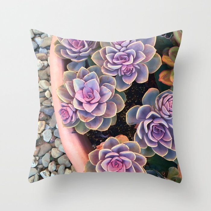 echeveria planter Throw Pillow