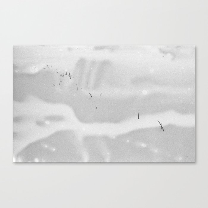 Snow Etching Print Canvas Print