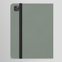 Sage Wisdom Green iPad Folio Case