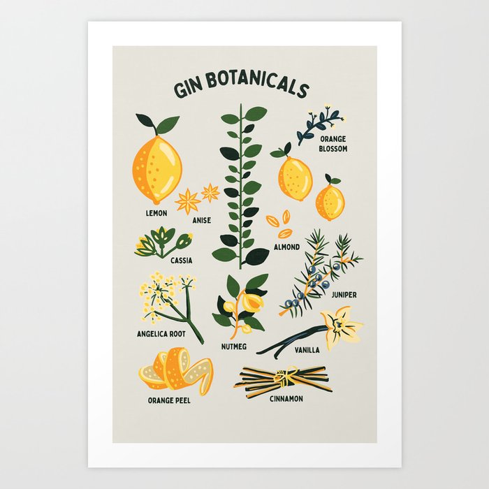 Gin Botanicals - Lemon, Orange, Cinnamon, Almond, Vanilla, Juniper & More Art Print
