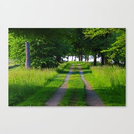 Find your own Canvas Print