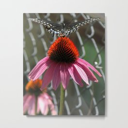 Free Spirit Metal Print | Image, Focused, Naturephotography, Creature, Insect, Photo, Plant, Flowers, Mixedtints, Animalphotography 