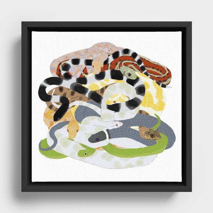 Snake Pile Framed Canvas