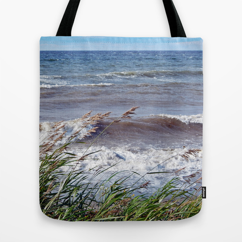 rolling beach bag