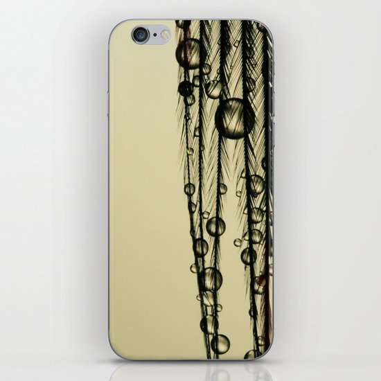 Charcoal Feather Drops iPhone & iPod Skin
