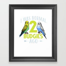 Parakeet Bird Budgie Cage Training Care Framed Art Print