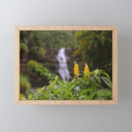 Waimea Falls Framed Mini Art Print