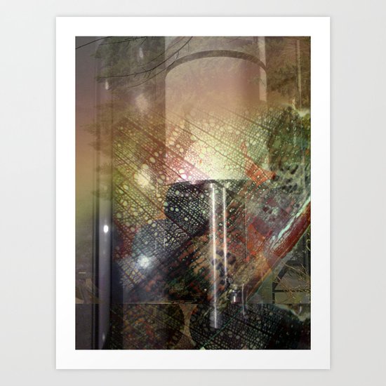 moth Art Print