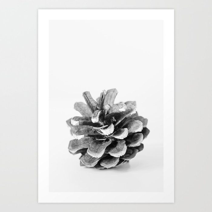 Winter Pine Cone  Art Print