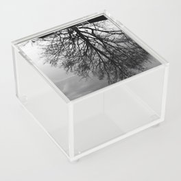 Black and white tree reflection in water | Loire Valley France Acrylic Box
