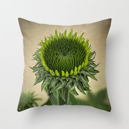 Echinacea Dream Throw Pillow