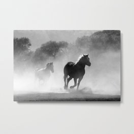 Horses Running Wild Metal Print | Run, Running, Horse, Wild, Black, White, Nature, Equestrian, Movement, Dust 